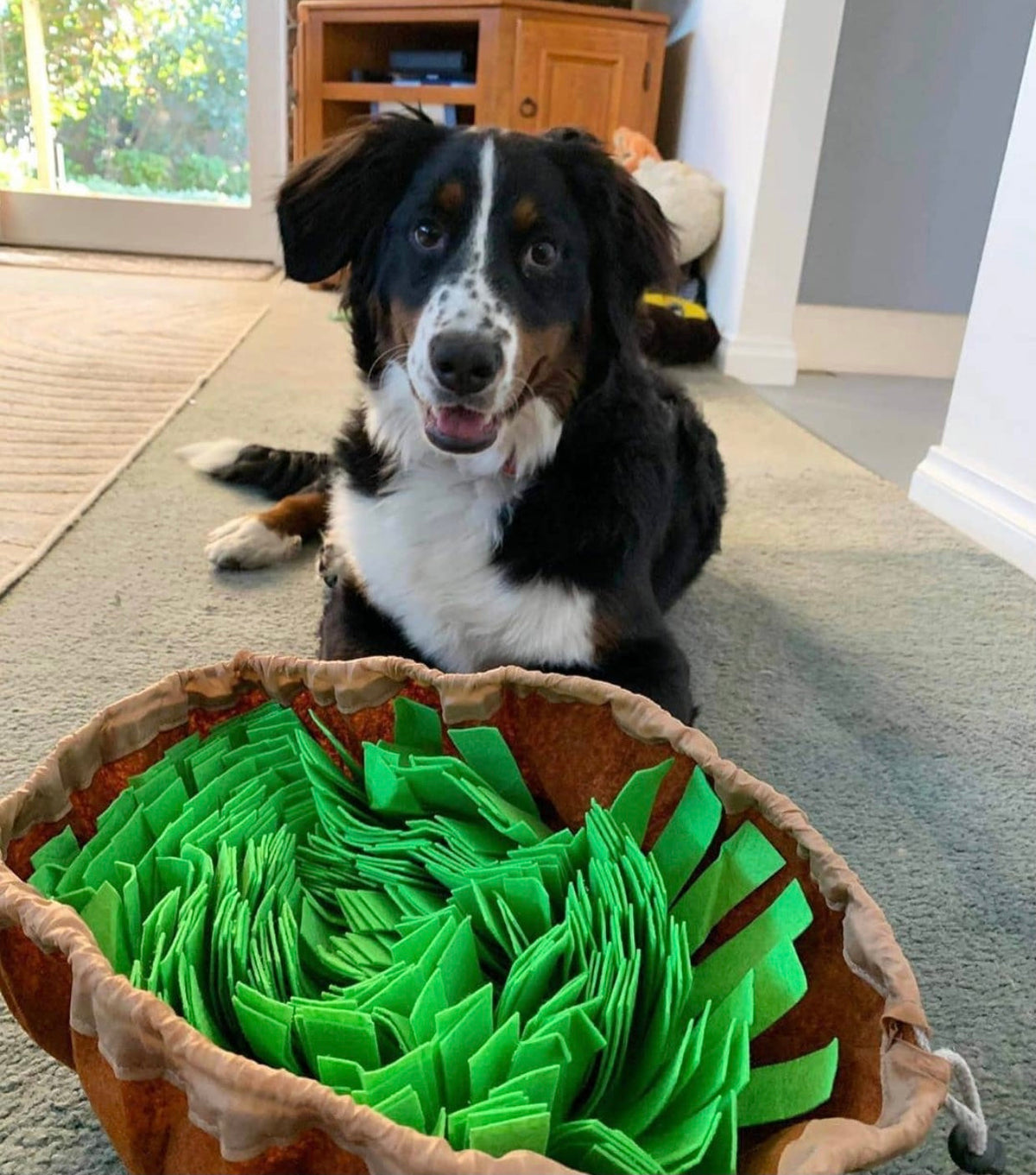 Snuffle Mat Interattivo per Cani – Gioco Olfattivo Anti-Noia PAWSOME