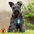 Antiparassitario a Ultrasuoni per Cani e Animali Domestici InnovaGoods – Protezione Ecologica contro Pulci e Zecche