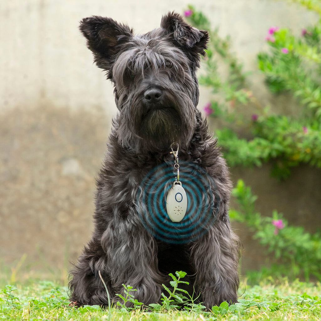 Antiparassitario a Ultrasuoni per Cani e Animali Domestici InnovaGoods – Protezione Ecologica contro Pulci e Zecche