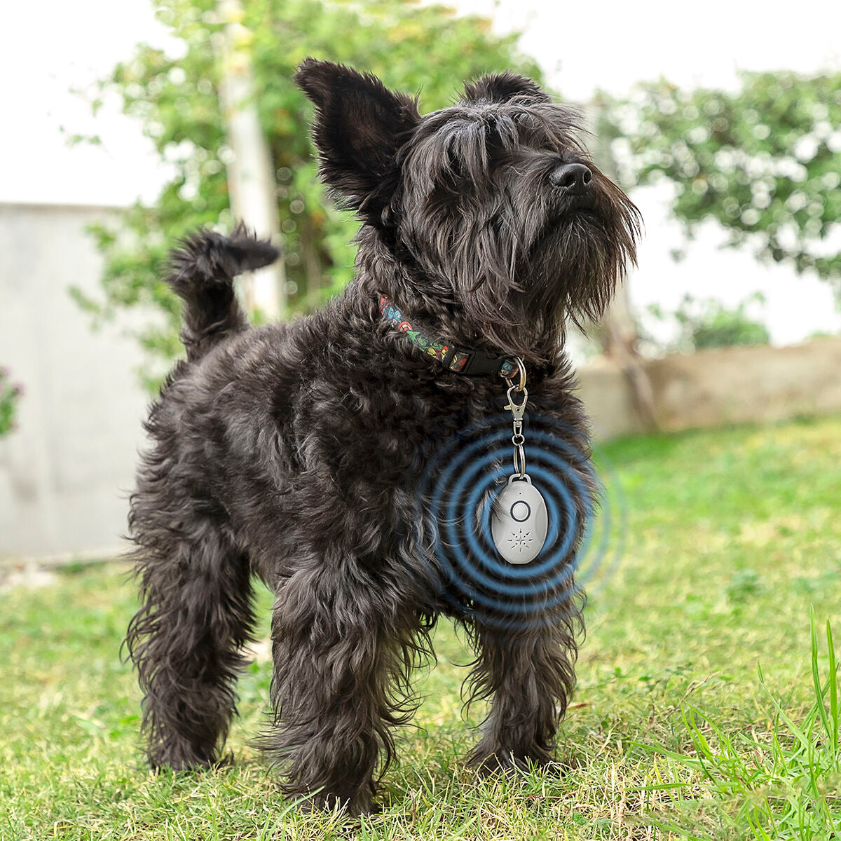 Antiparassitario a Ultrasuoni per Cani e Animali Domestici InnovaGoods – Protezione Ecologica contro Pulci e Zecche