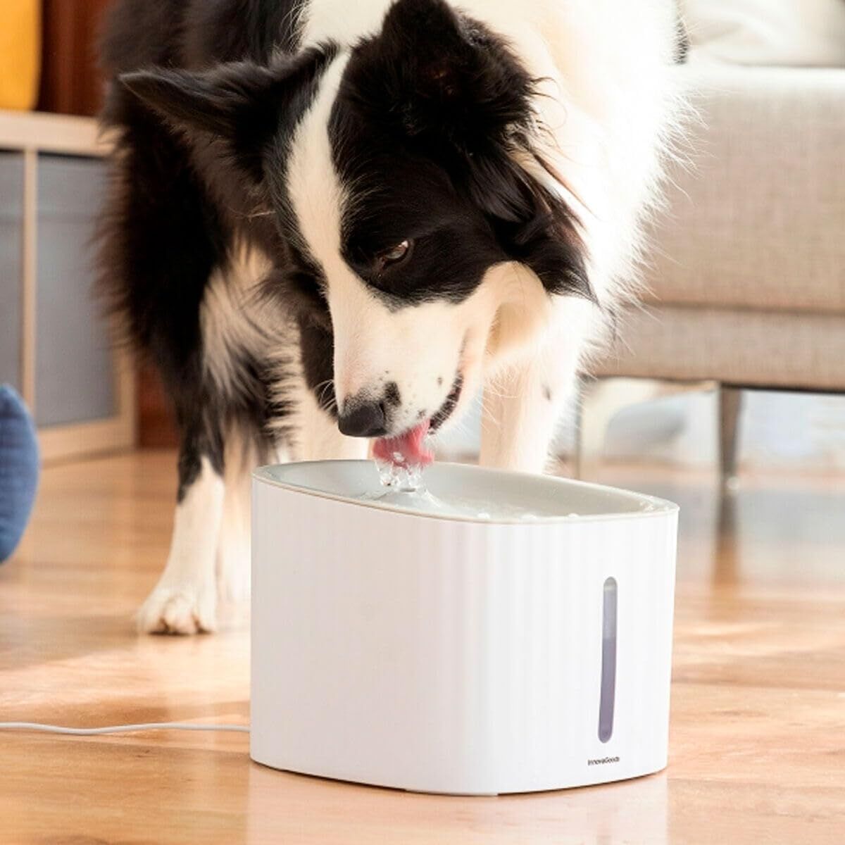Fontana per Animali Domestici Drinkatt InnovaGoods (3 L) – Acqua Fresca e Continua (Ricondizionati C)