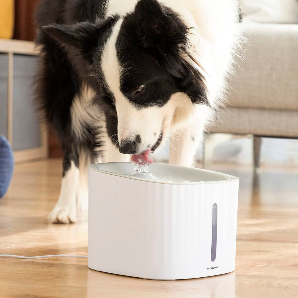 Fontana per Animali Domestici Drinkatt InnovaGoods (3 L) – Acqua Fresca e Continua (Ricondizionati C)