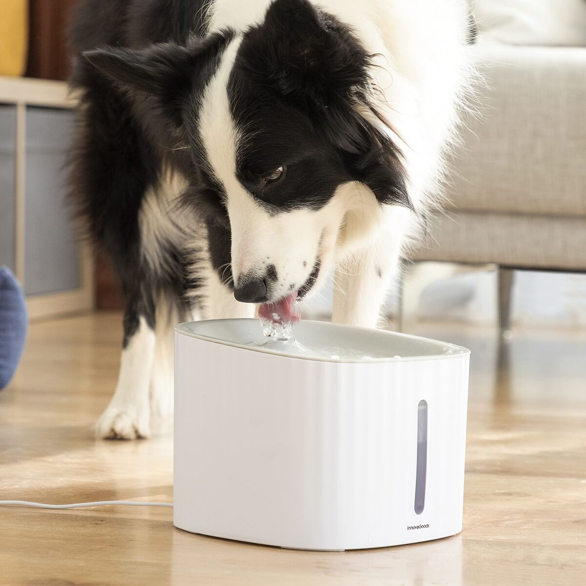 Fontana per Animali Domestici Drinkatt InnovaGoods (3 L) – Acqua Fresca e Continua (Ricondizionati C)