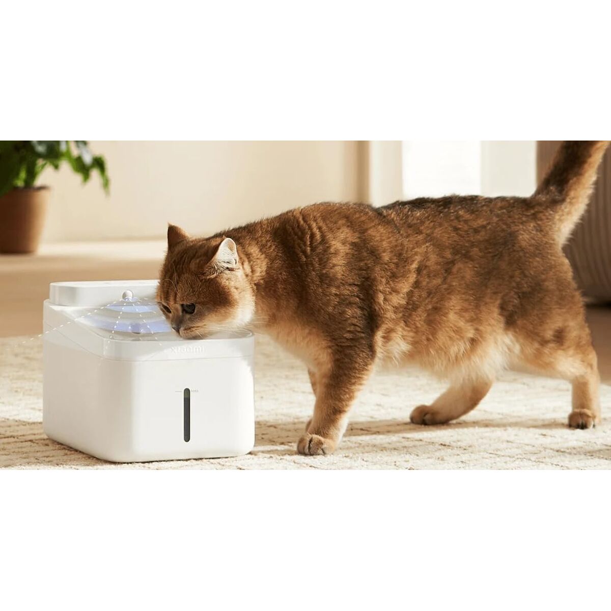 Fontana per Animali Domestici Smart Xiaomi BHR9486EU Bianca 3 L