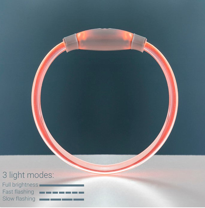 Collare a LED Luminoso e Ricaricabile per Animali