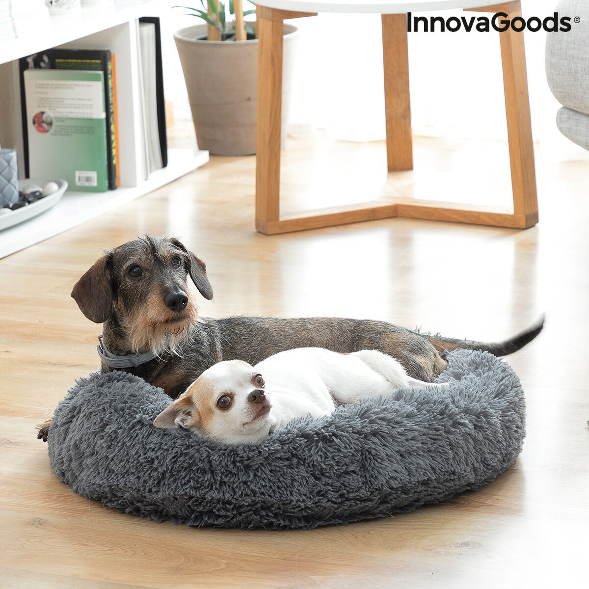 Letto Antistress Rotondo per Cani e Gatti Bepess InnovaGoods (Ø 60 cm) – Comfort e Relax Assicurato