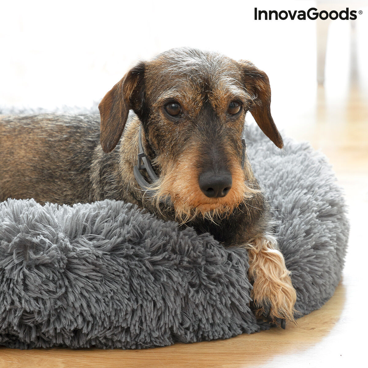 Letto Antistress Rotondo per Cani e Gatti Bepess InnovaGoods (Ø 60 cm) – Comfort e Relax Assicurato