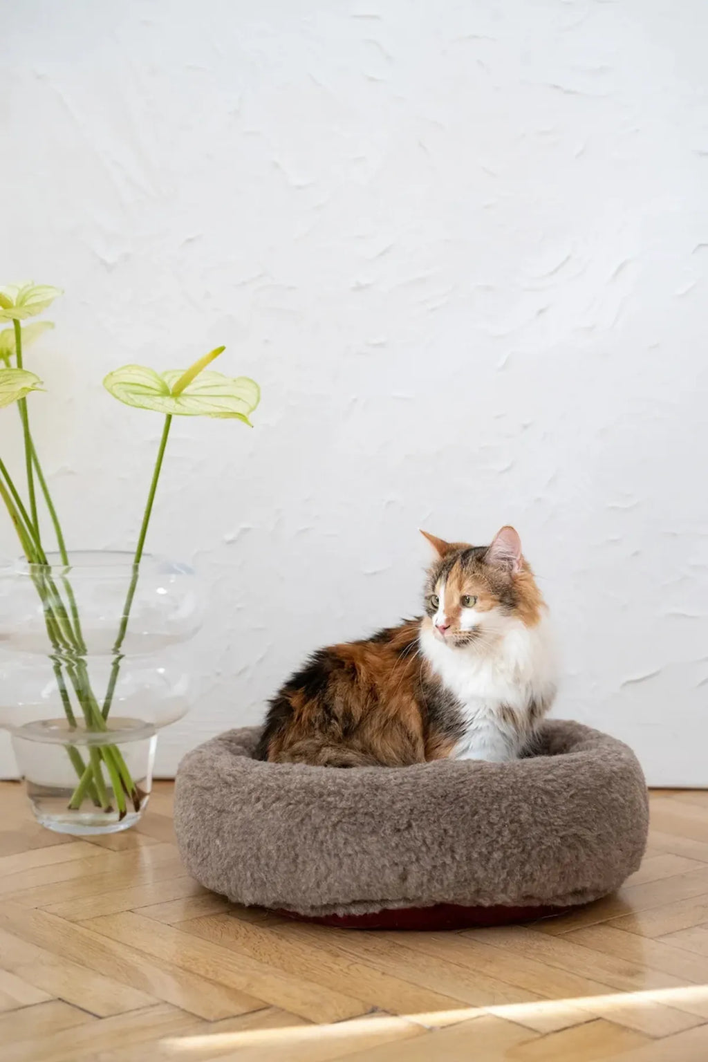 Cuccia rotonda in lana naturale per cani e gatti beige, vista dall'alto