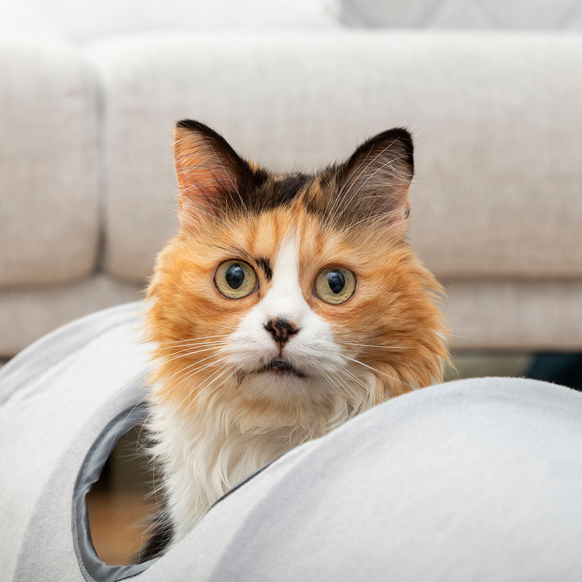 Tunnel Pieghevole per Gatti e Animali Domestici Funnyl InnovaGoods – Giocattolo e Rifugio 2 in 1 Grigio ($\varnothing 25 \times 114 \text{ cm}$)