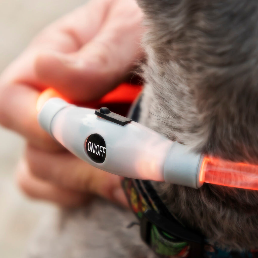 Innovagoods Collare Led Per Animali Domestici Petlux Innovagoods