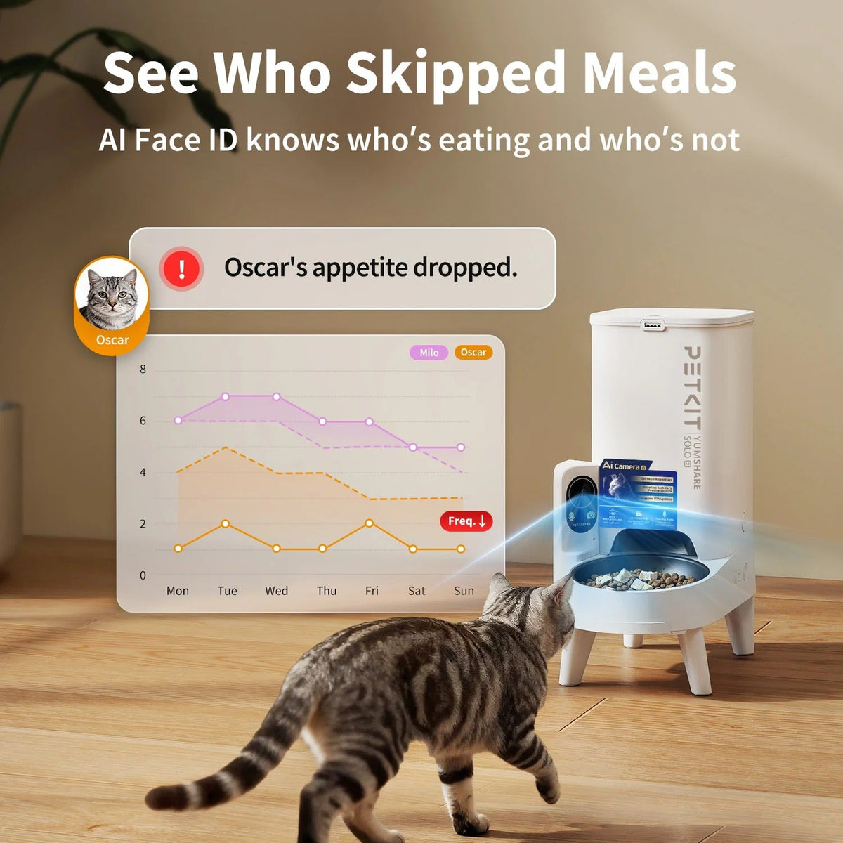Distributore Cibo Automatico per Gatti con Telecamera YumShare Solo 2 Petkit