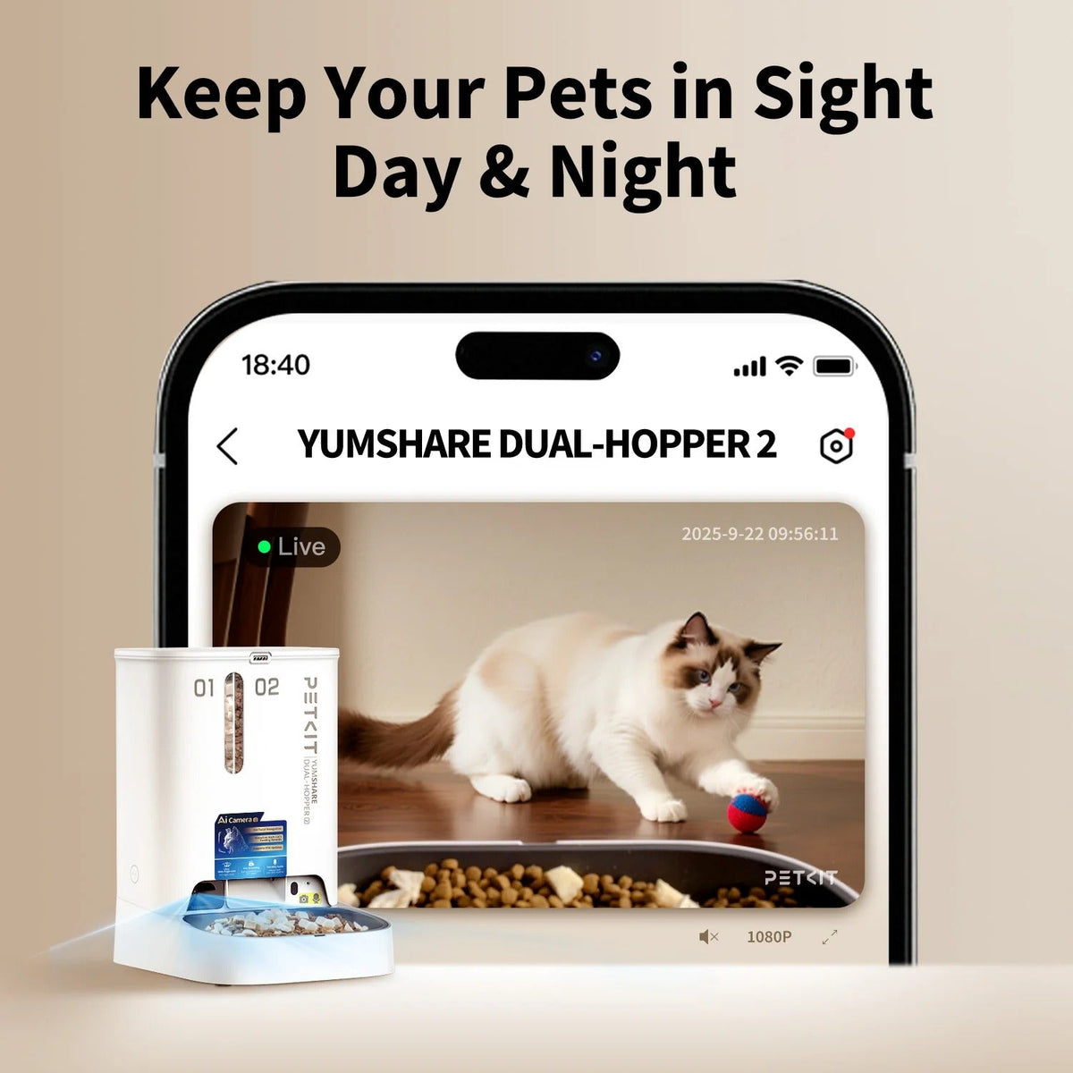 Distributore Cibo Automatico per Gatti con Telecamera AI YumShare | Shop Zampettando