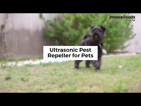 Antiparassitario a Ultrasuoni per Cani e Animali Domestici InnovaGoods – Protezione Ecologica contro Pulci e Zecche