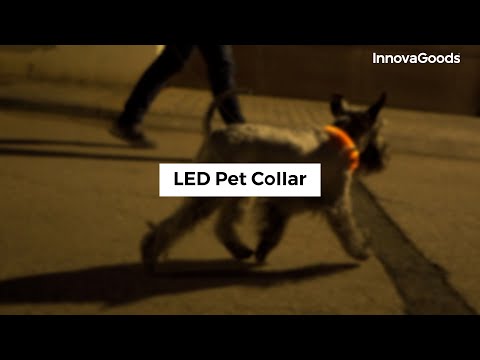 Collare a LED Luminoso e Ricaricabile per Animali