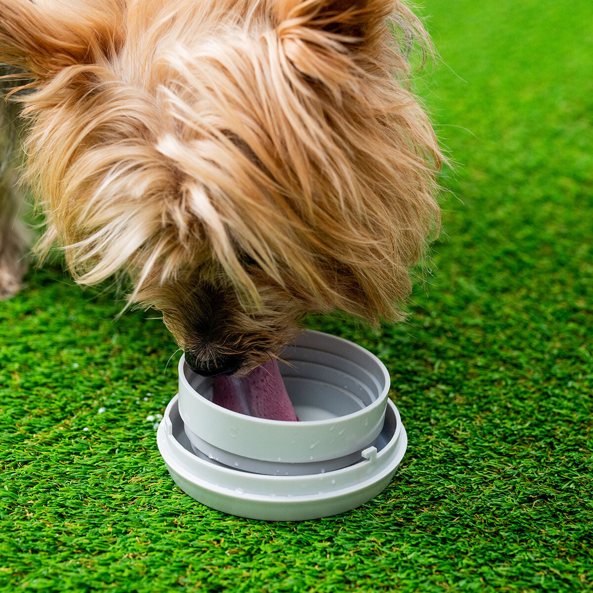 Guinzaglio Retrattile 6-in-1 Leashic InnovaGoods – Multifunzione per Cani - Vista 3 | Shop Zampettando